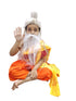 BookMyCostume Sadhu Yogi Fancy Dress Costume