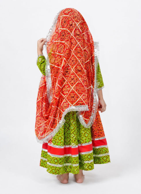 Rajasthani Indian State Fancy Dress Costume for Girls and Females | Without Jewelry
