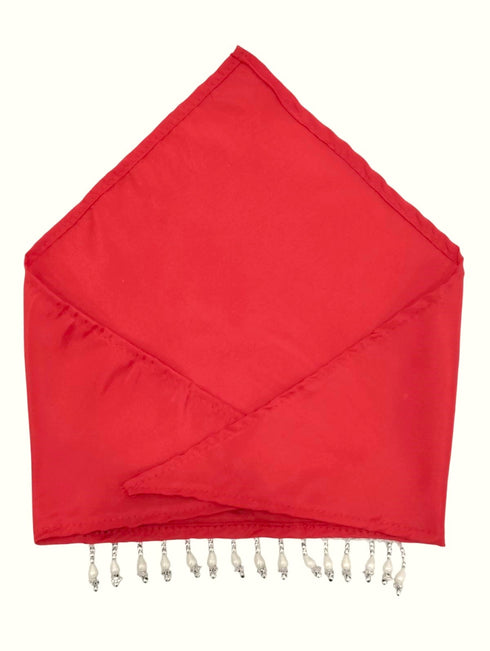 BookMyCostume Kashmiri Indian State Fancy Dress Costume for Girls and Females