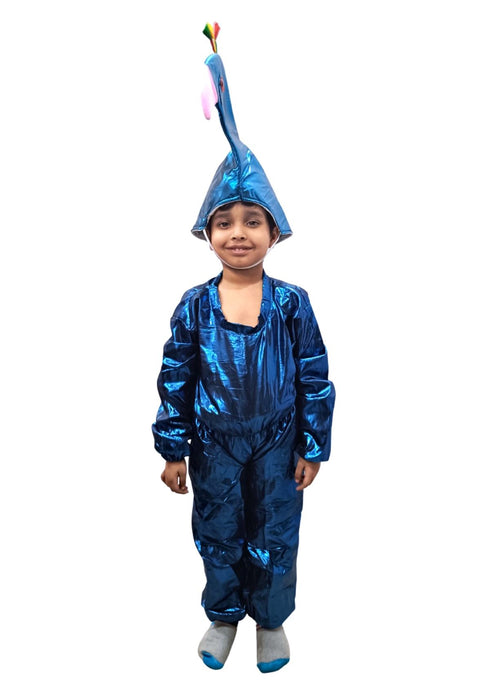 BookMyCostume Peacock Bird Kids Fancy Dress Costume