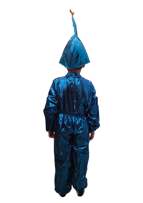 Peacock Bird Kids Fancy Dress Costume