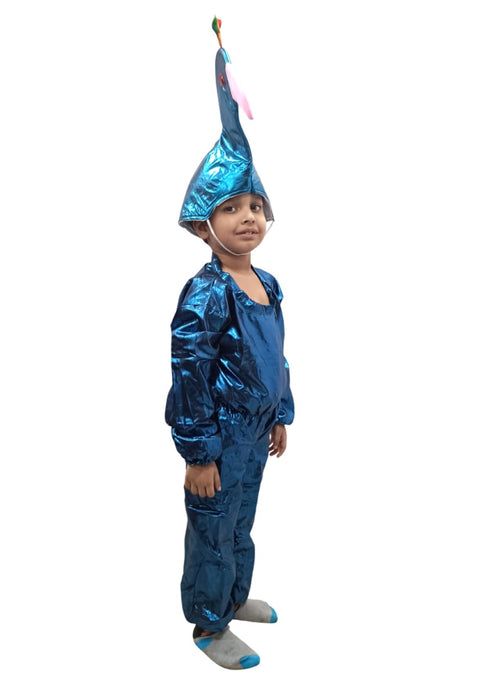 BookMyCostume Peacock Bird Kids Fancy Dress Costume