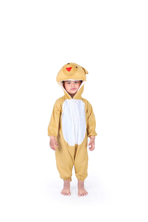 BookMyCostume Brown Honey Bear Animal Fancy Dress Costume | For Kids & Adults