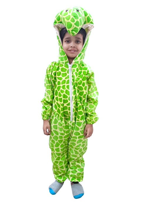 Tortoise Aquatic Animal Kids Fancy Dress Costume