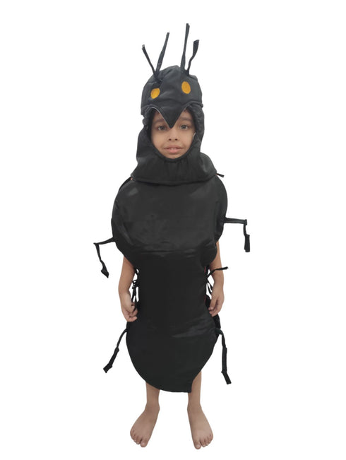 Ant Cheenti Insect Kids Fancy Dress Costume