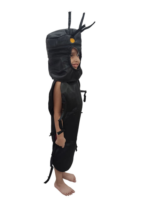 Ant Cheenti Insect Kids Fancy Dress Costume