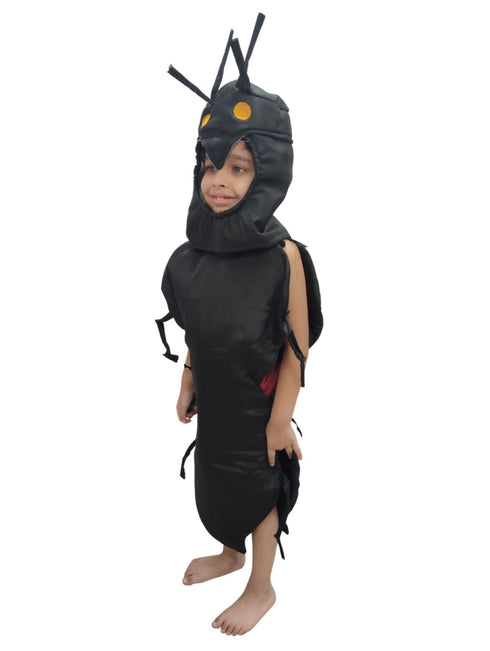 Ant Cheenti Insect Kids Fancy Dress Costume