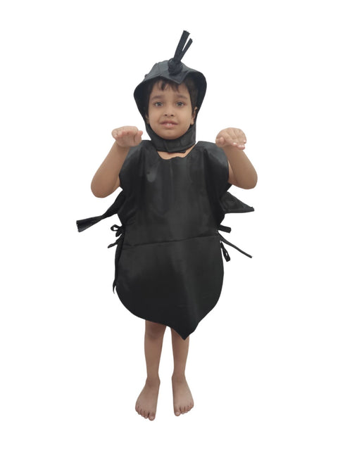 Mosquito & Fly Insect Dengue Malayria Kids Fancy Dress Costume