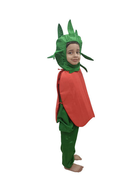 BookMyCostume Red Apple Healthy Fruit Kids Fancy Dress Costume