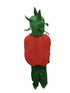 BookMyCostume Red Apple Healthy Fruit Kids Fancy Dress Costume