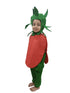 BookMyCostume Red Apple Healthy Fruit Kids Fancy Dress Costume