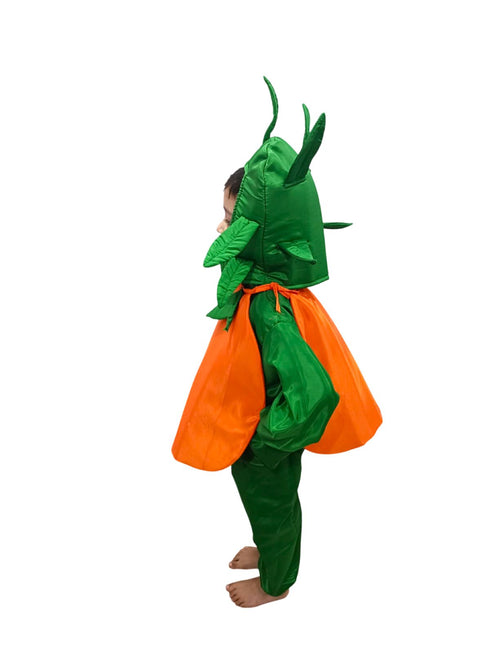 BookMyCostume Orange Santra Kinnow Fruit Kids Fancy Dress Costume