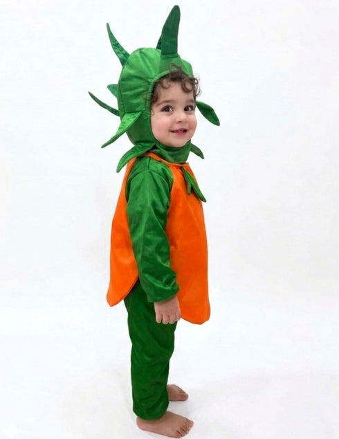 Orange Santra Kinnow Fruit Kids Fancy Dress Costume