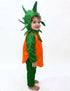 Orange Santra Kinnow Fruit Kids Fancy Dress Costume