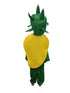 BookMyCostume Mango Fruit Kids Fancy Dress Costume