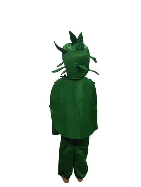 BookMyCosstume Watermelon Fruit Kids Fancy Dress Costume