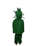 BookMyCosstume Watermelon Fruit Kids Fancy Dress Costume