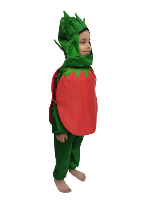 BookMyCostume Tomato Vegetable Kids Fancy Dress Costume