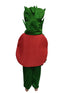 BookMyCostume Tomato Vegetable Kids Fancy Dress Costume