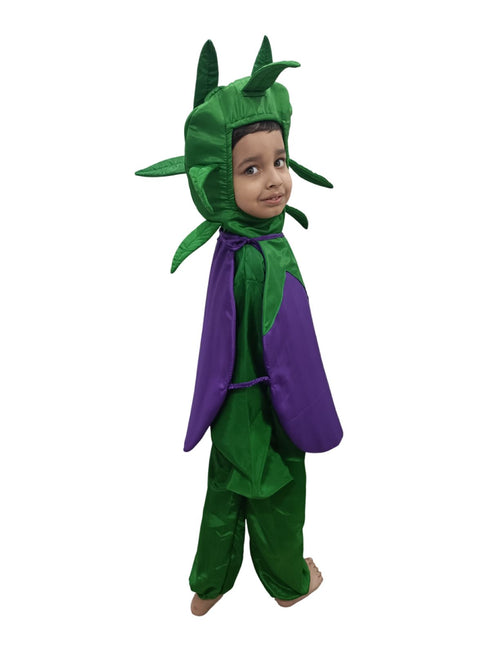 BookMyCostume Brinjal Eggplant Baingan Vegetable Kids Fancy Dress Costume
