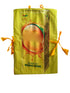 Frooti Mango Juice Drink Kids Fancy Dress Costume