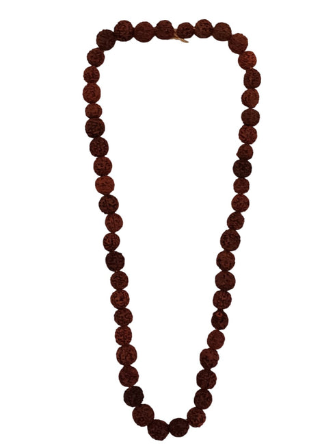 BookMyCostume Vanwasi Sita Mata Ramayana Fancy Dress Costume for Girls & Women