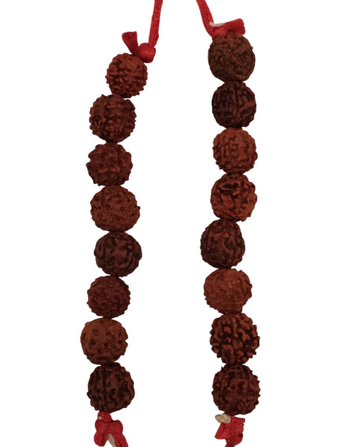 BookMyCostume Vanwasi Sita Mata Ramayana Fancy Dress Costume for Girls & Women