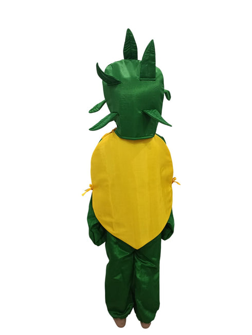BookMyCostume Papaya Fruit Kids Fancy Dress Costume