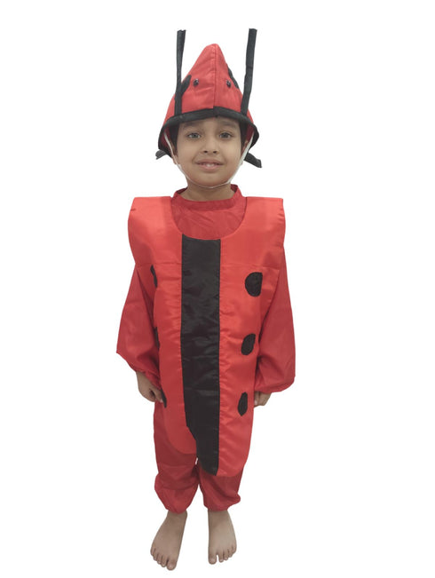 Ladybird Insects Kids Fancy Dress Costume
