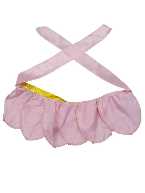 BookMyCostume Princess Aurora Sleeping Beauty Lotus Fairy tale Kids Fancy Dress Costume | Imported