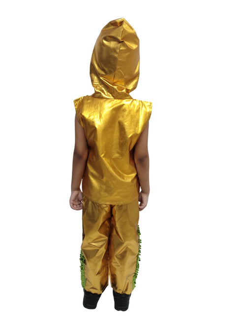 Western Dance Costume for Boys - Green & Golden - Tshirt with Trousers - Premium