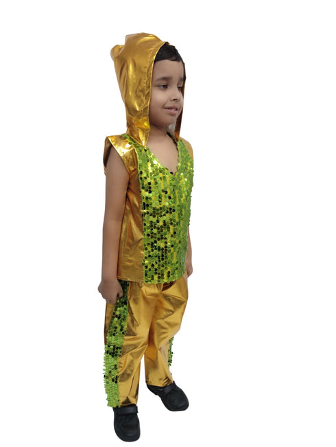 Western Dance Costume for Boys - Green & Golden - Tshirt with Trousers - Premium
