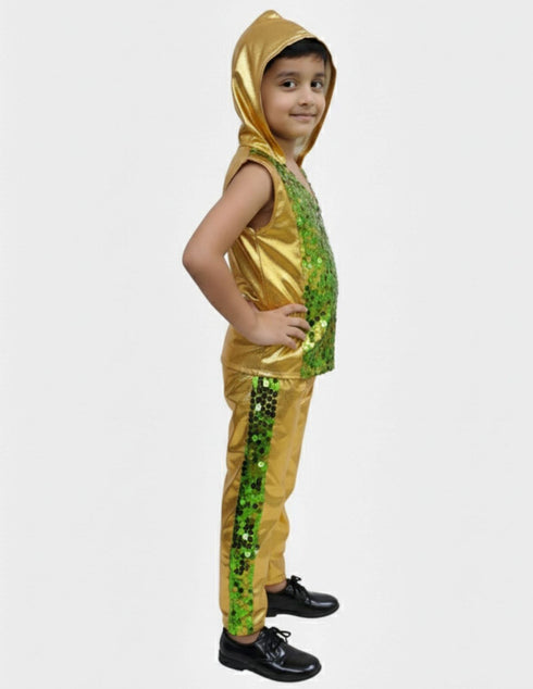Western Dance Costume for Boys - Green & Golden - Tshirt with Trousers - Premium