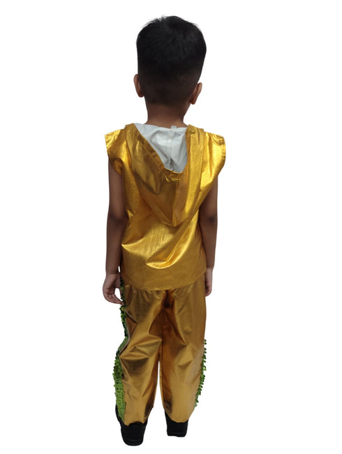 Western Dance Costume for Boys - Green & Golden - Tshirt with Trousers - Premium