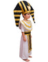 Egyptian Pharoah King Tutankhamun International World Costume For Boys | Premium