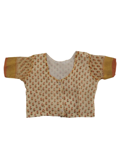 Teacher Profession Classic Saree Kids & Adults Fancy Dress Costume