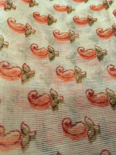 Principal Headmistress Professional Classic Saree with necklace Kids Fancy Dress Costume