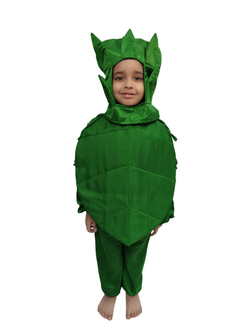 BookMyCostume Spinach Palak Green Leafy Vegetable Kids Fancy Dress Costume