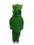 BookMyCostume Spinach Palak Green Leafy Vegetable Kids Fancy Dress Costume