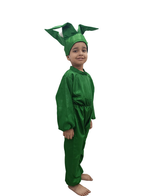 BookMyCostume Cauliflower Phool Gobhi Vegetable Kids Fancy Dress Costume