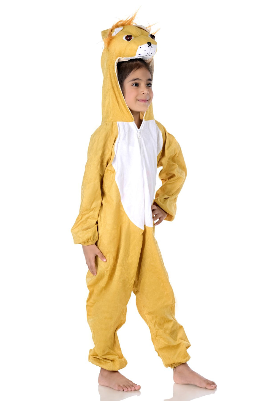 Lion Sher Wild Animal Kids Fancy Dress Costume for School Competitions | Indian