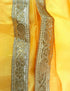 Indian Raja King Historical Mythology Kids & Adults Fancy Dress Costume