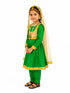 Kathak Indian Classical Dance Costume for Girls | Kids Adult With Heavy Jewelry Set