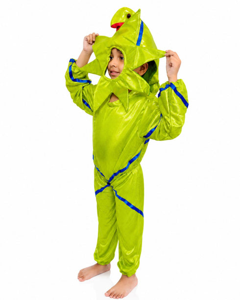 StarFish Star Fish Aquatic Animal Kids Fancy Dress Costume