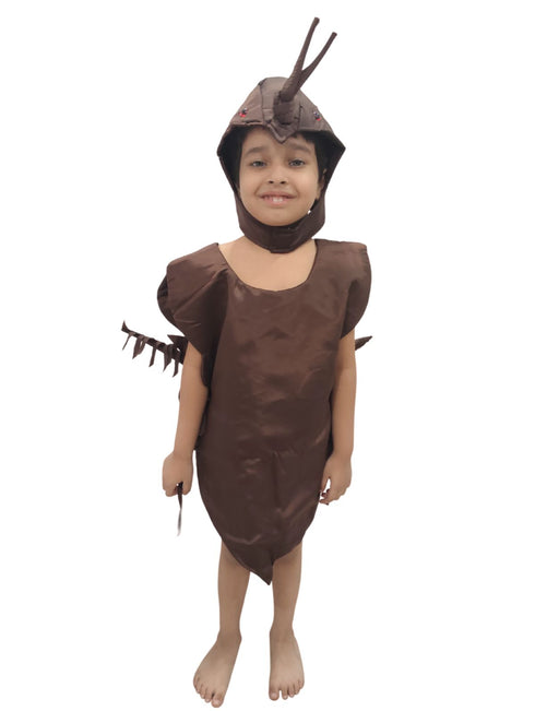 Cockroach Home Animal Insect Kids Fancy Dress Costume
