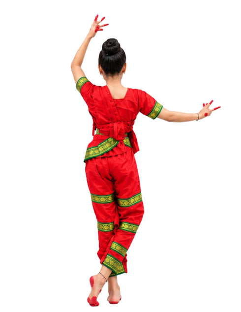 Bharatanatyam Saree Indian Classical Dance Costume for Girls | Kids & Adult Fancy Dress Costume