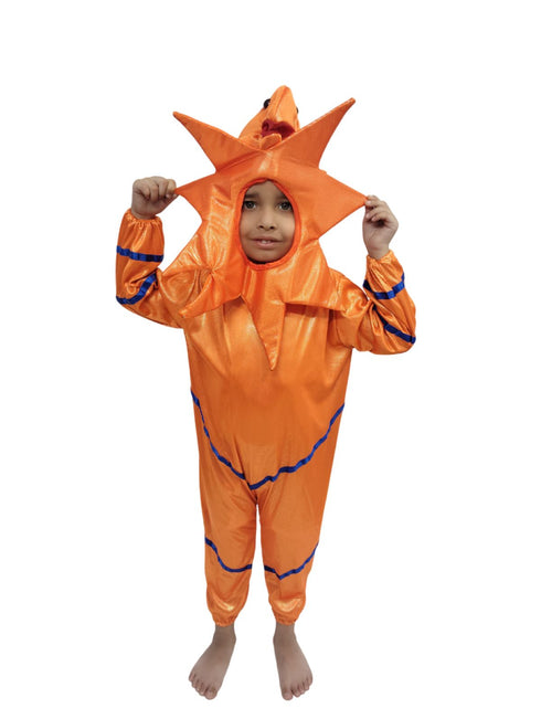 StarFish Star Fish Orange Golden Aquatic Animal Kids Fancy Dress Costume