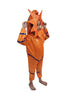 StarFish Star Fish Orange Golden Aquatic Animal Kids Fancy Dress Costume