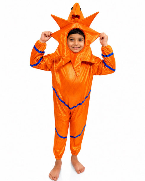 StarFish Star Fish Orange Golden Aquatic Animal Kids Fancy Dress Costume