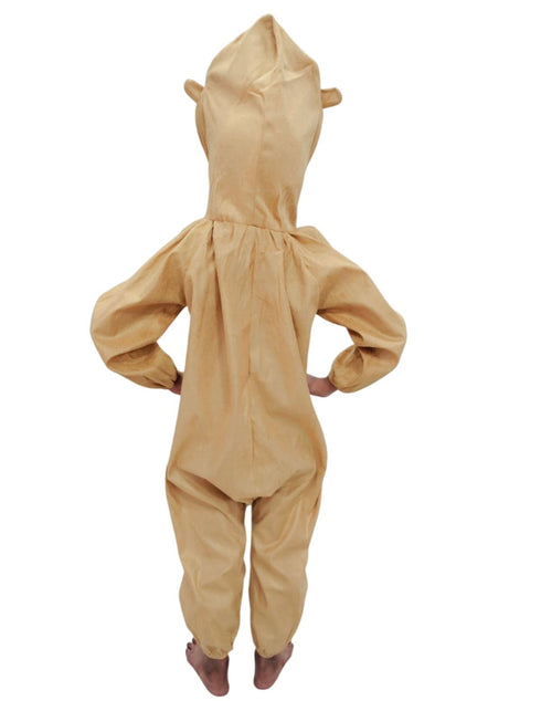 Owl Ullu Nocturnal Bird Kids Fancy Dress Costume